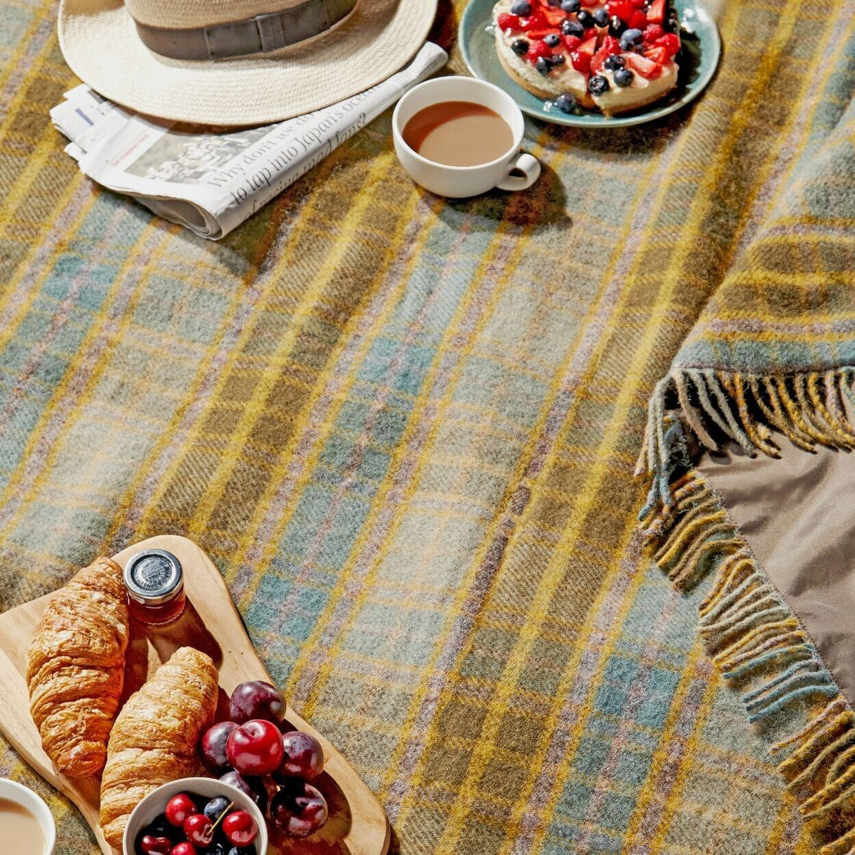 Tweedmill TM Polo Picnic Rugs LS