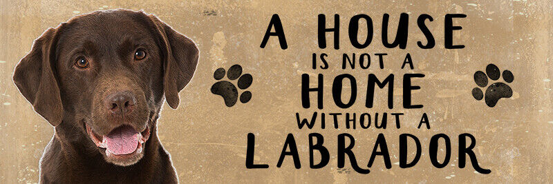 Dogs Cats Pets Wooden Hanging Sign Gift Plaque - Various Designs