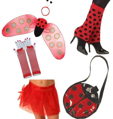 Lady Bird Fancy Dress Costume Accessory Kit