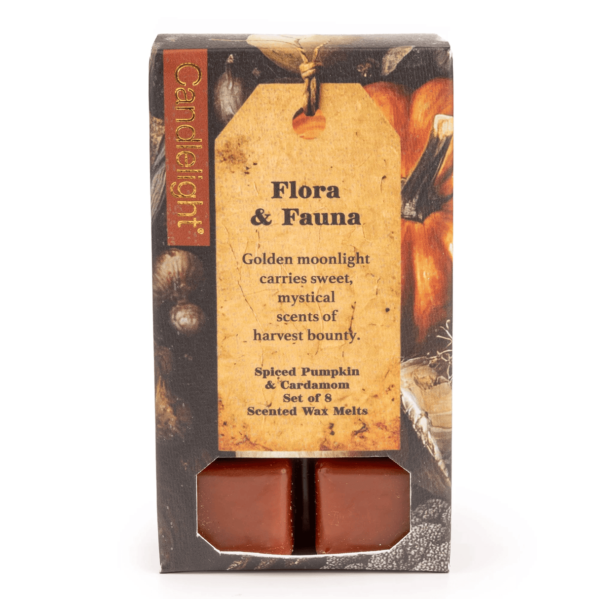 Candlelight 8 Pack Wax Melts - Pumpkins Flora & Fauna
