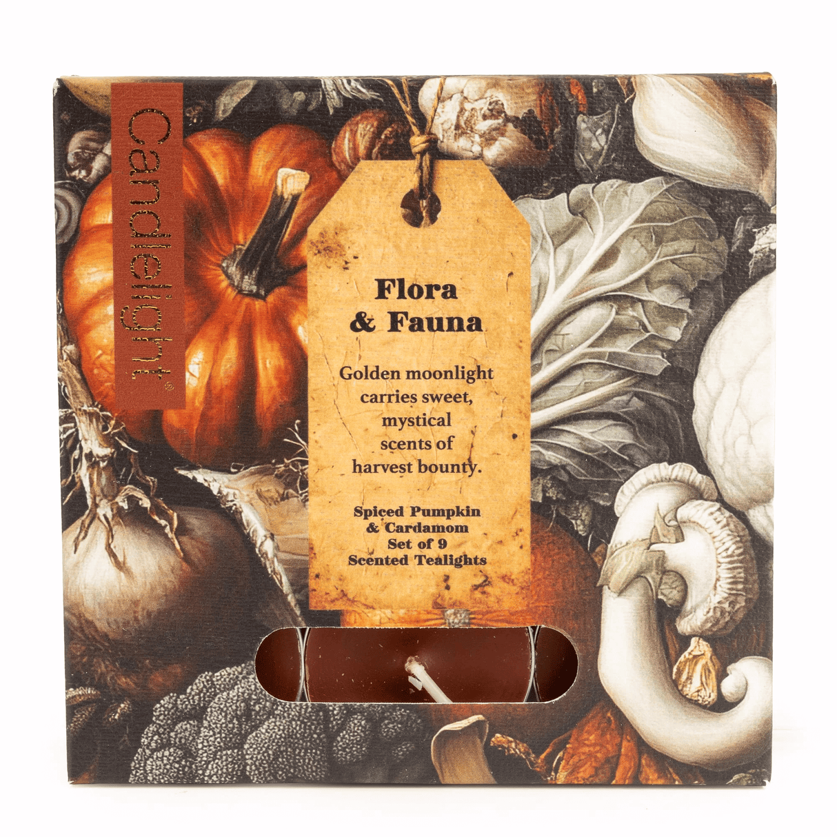 Candlelight Set of 9 Tealights - Pumpkins Flora & Fauna