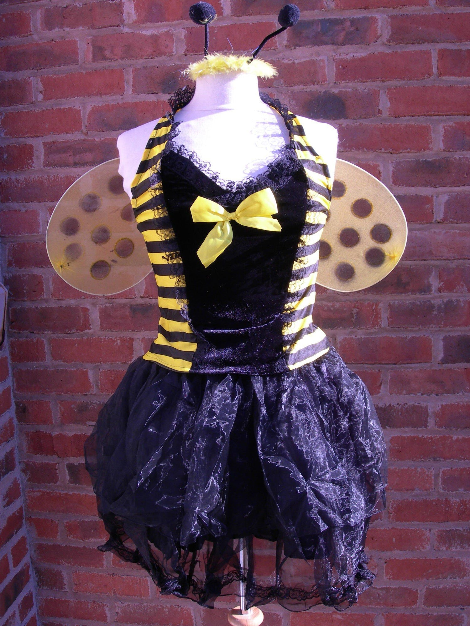 Bumble Bee Costume Fancy Dress Size 16-18