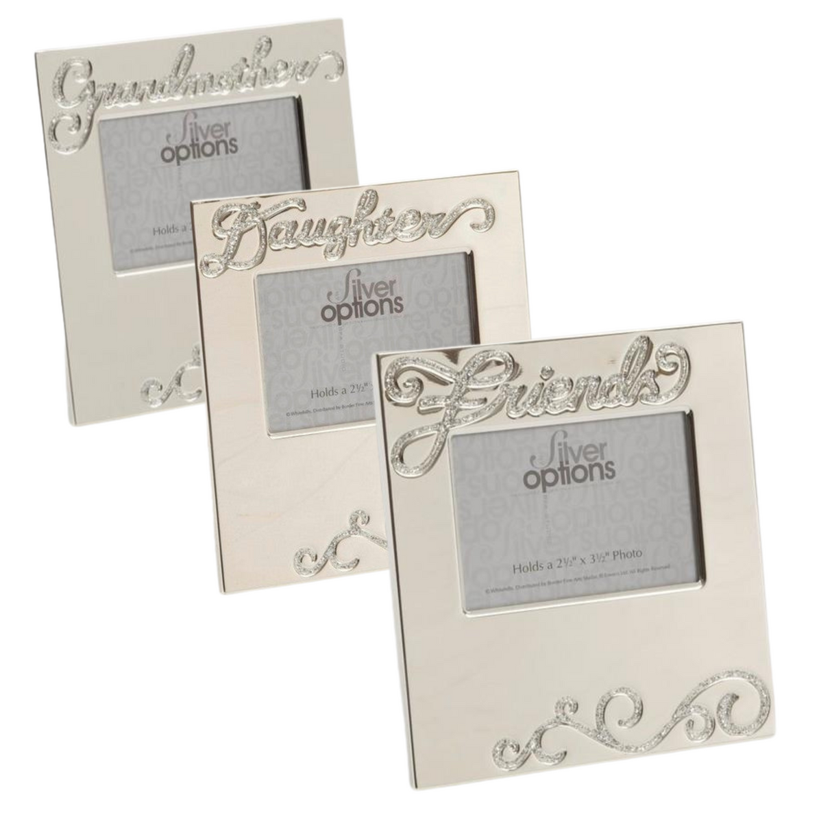 Silver Options photo frame