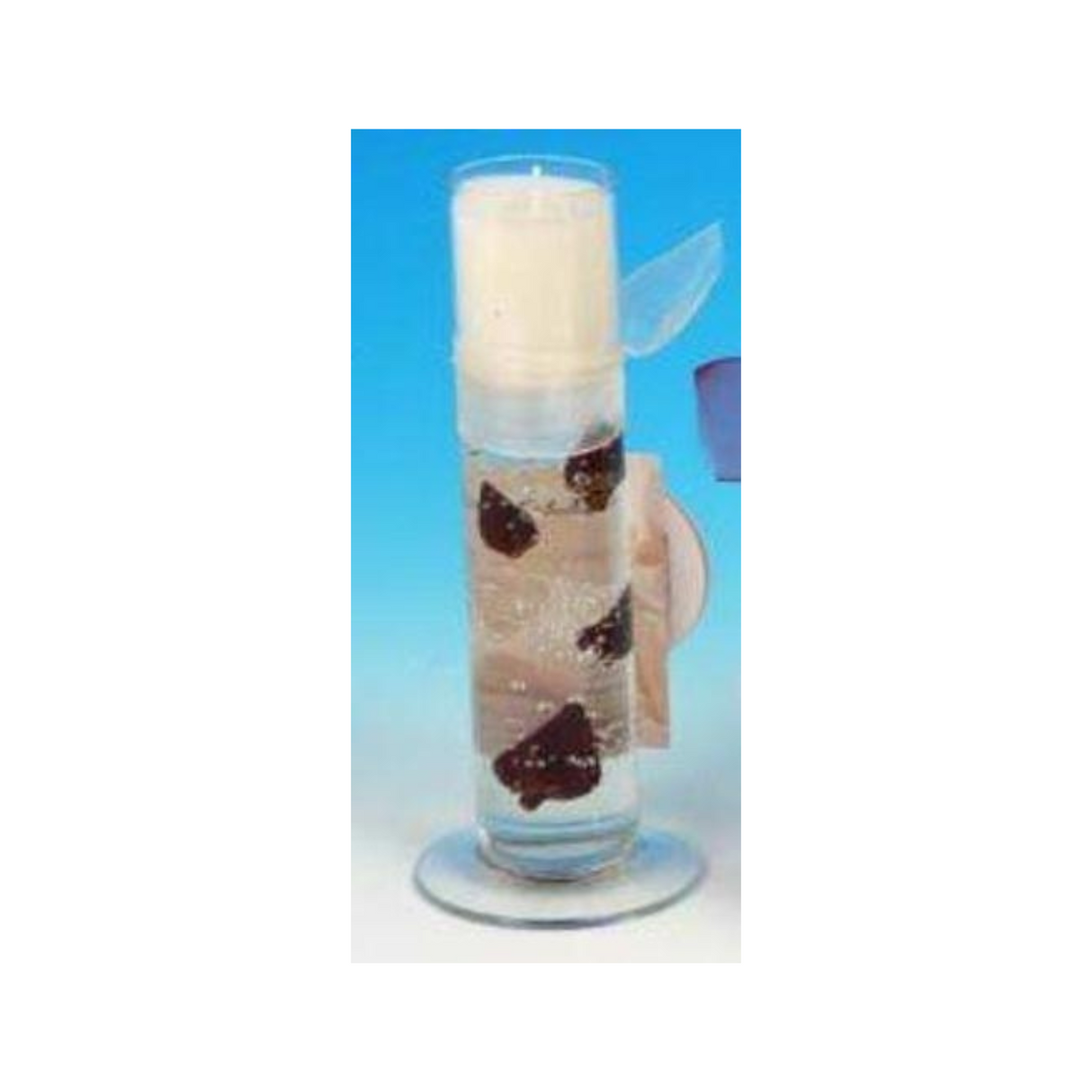 Rose Bud Candle with white top wax