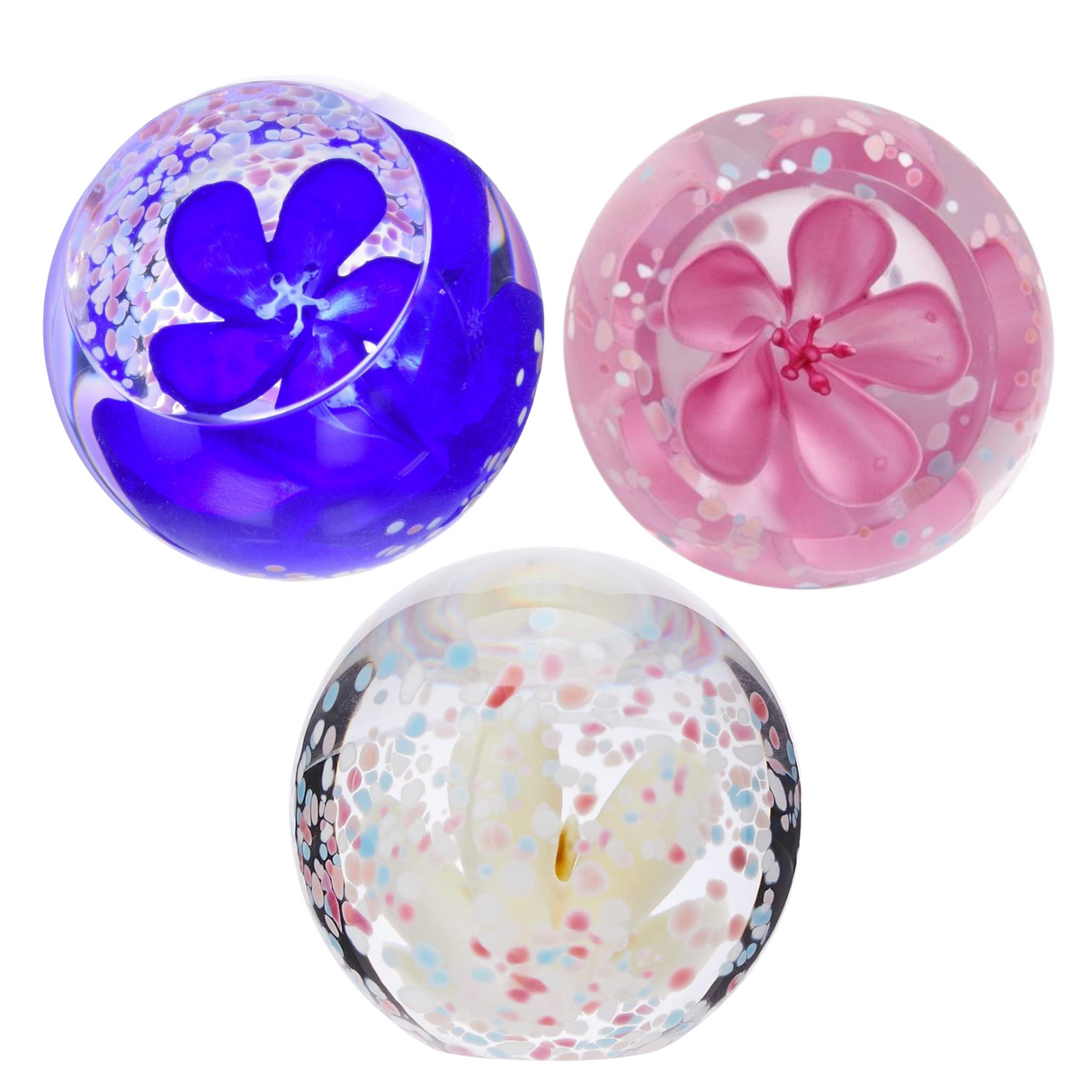 Caithness Glass Paperweight Floral Collection