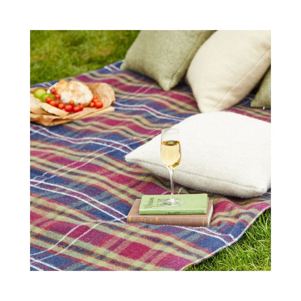 Tweedmill Polo Picnic Rugs WS