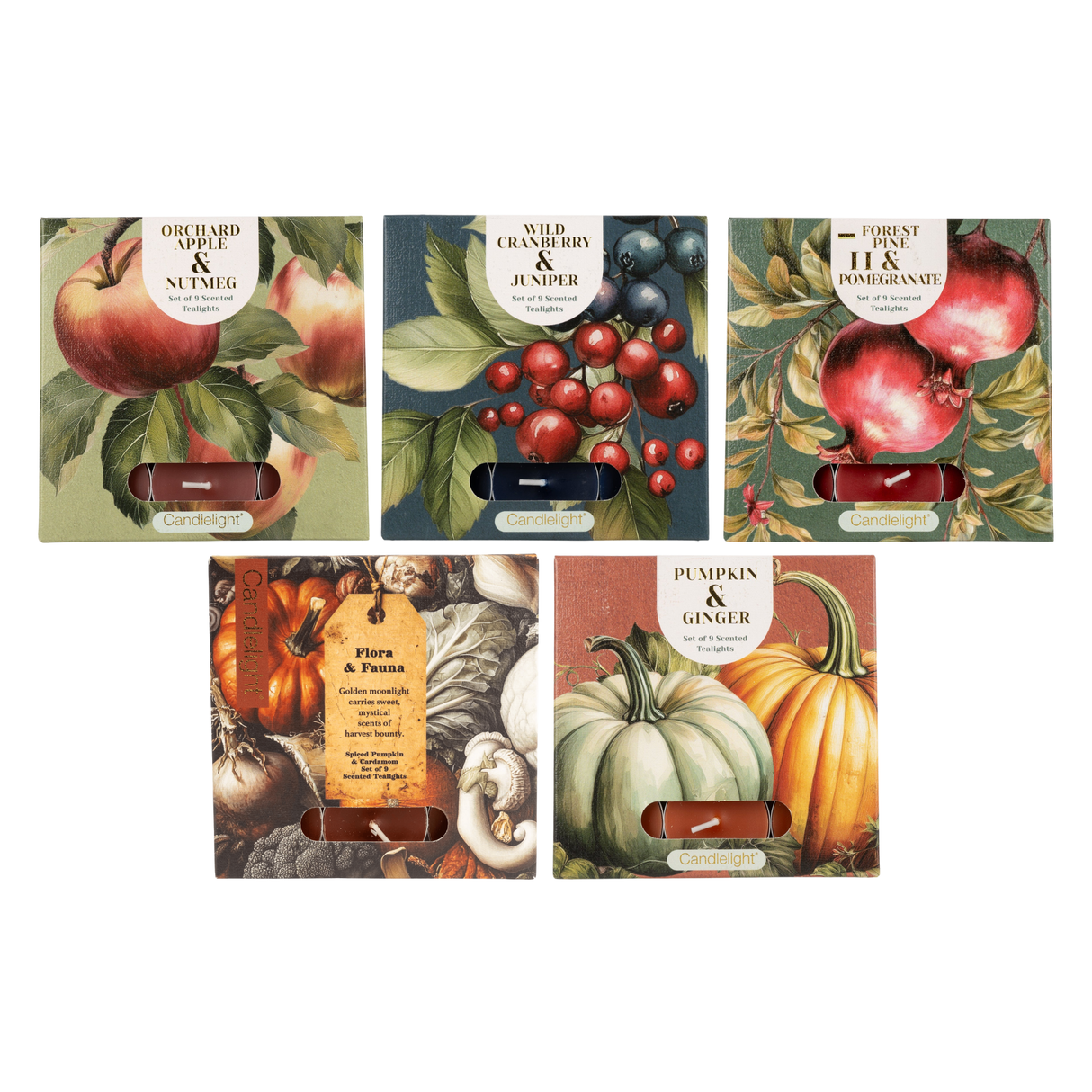Candlelight Set of 9 Tealights Autumn Winter Collection