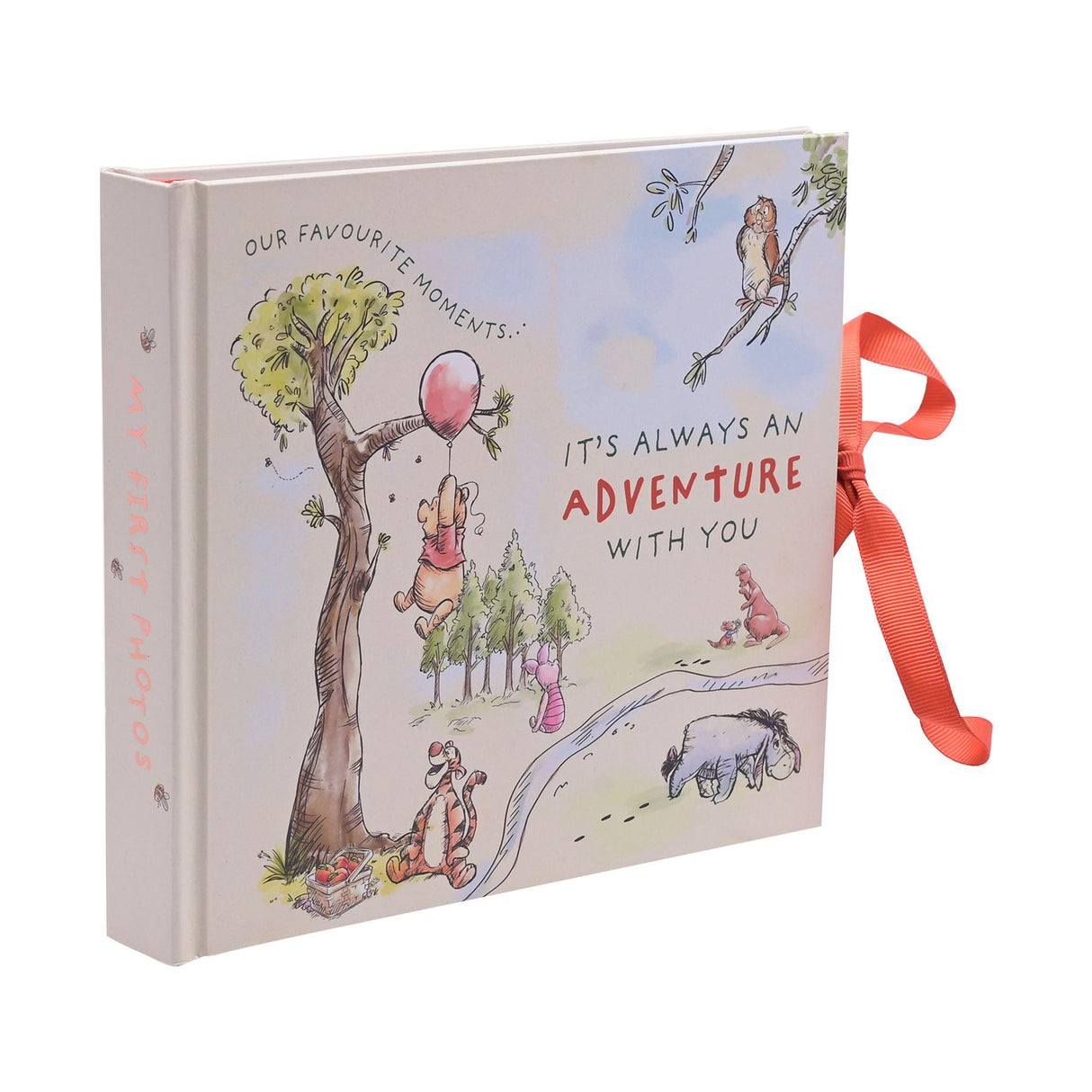Disney Winnie The Pooh Our Favourite Moements Photo Album