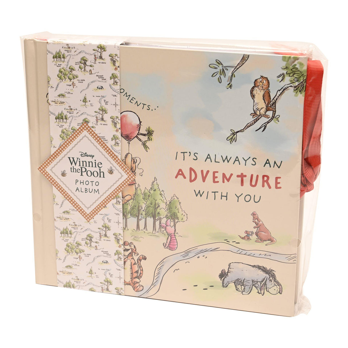 Disney Winnie The Pooh Our Favourite Moements Photo Album