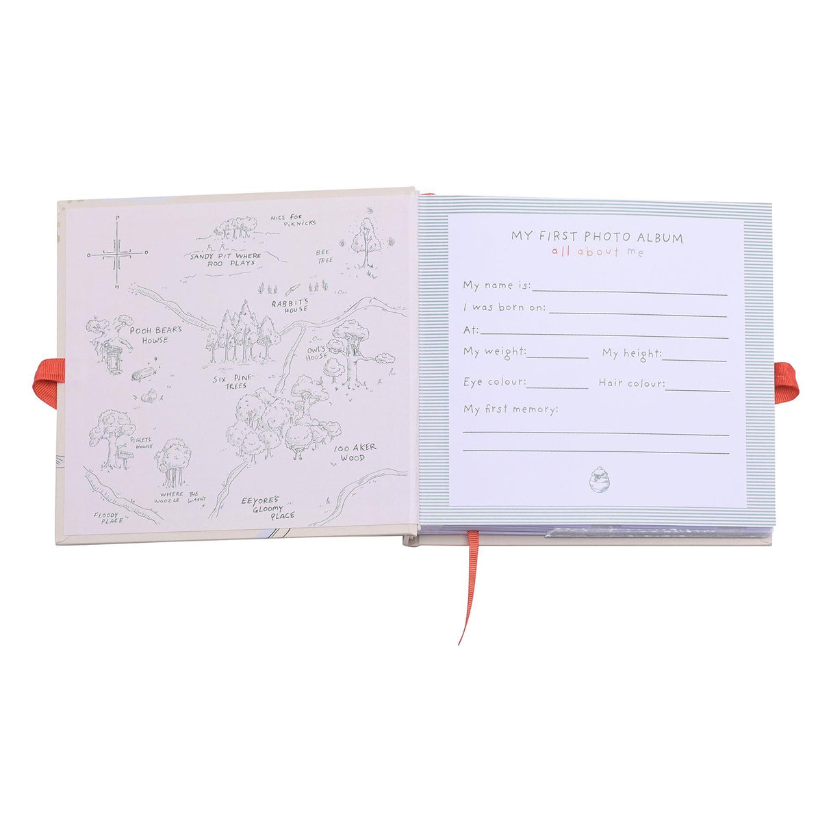 Disney Winnie The Pooh Our Favourite Moements Photo Album