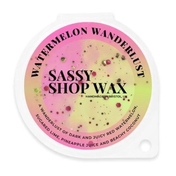 Sassy Shop Wax Melt Pot 50g - Watermelon Wanderlust