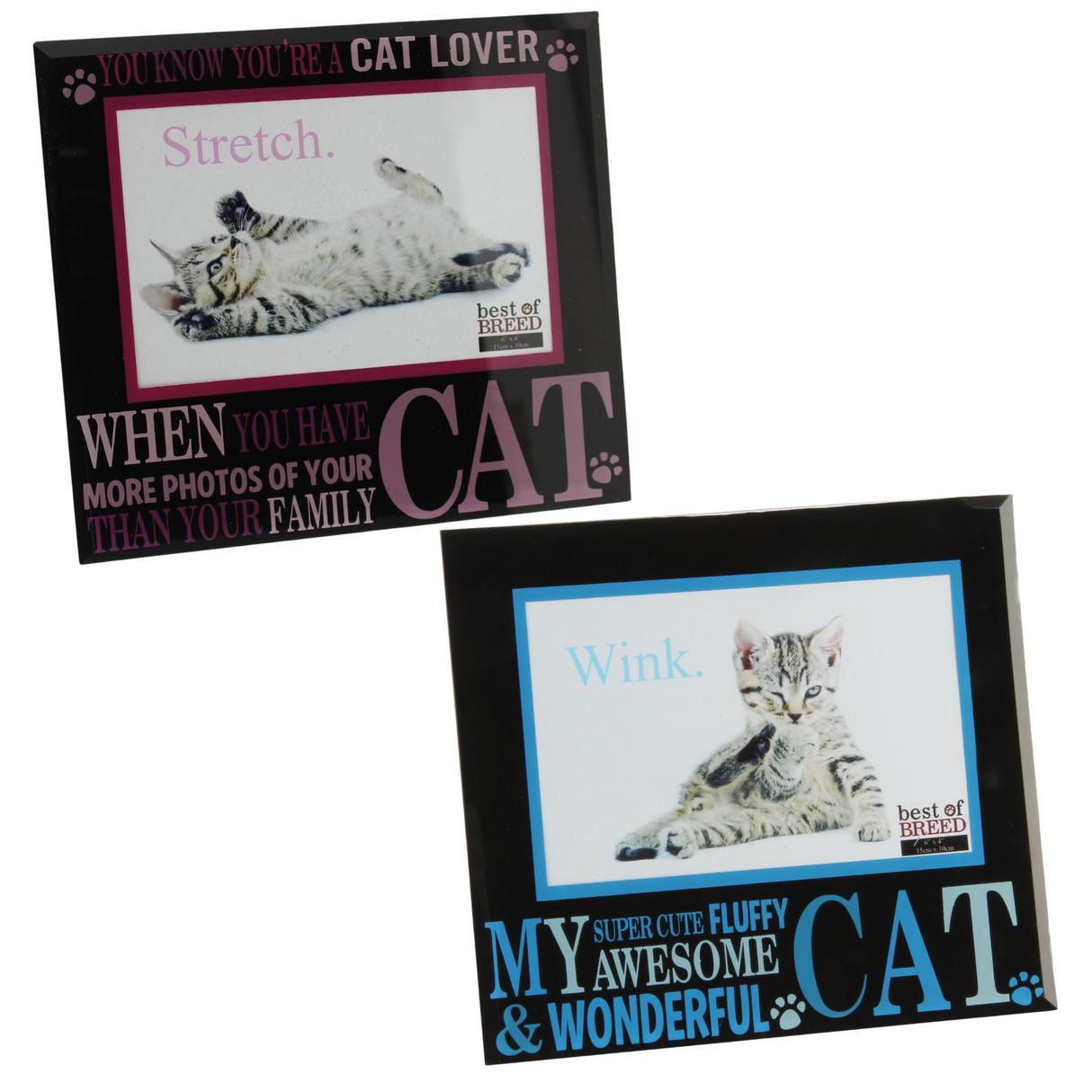 Best of Breed Novelty Cat Moto Photo Frames Hold 6x4" Photograph