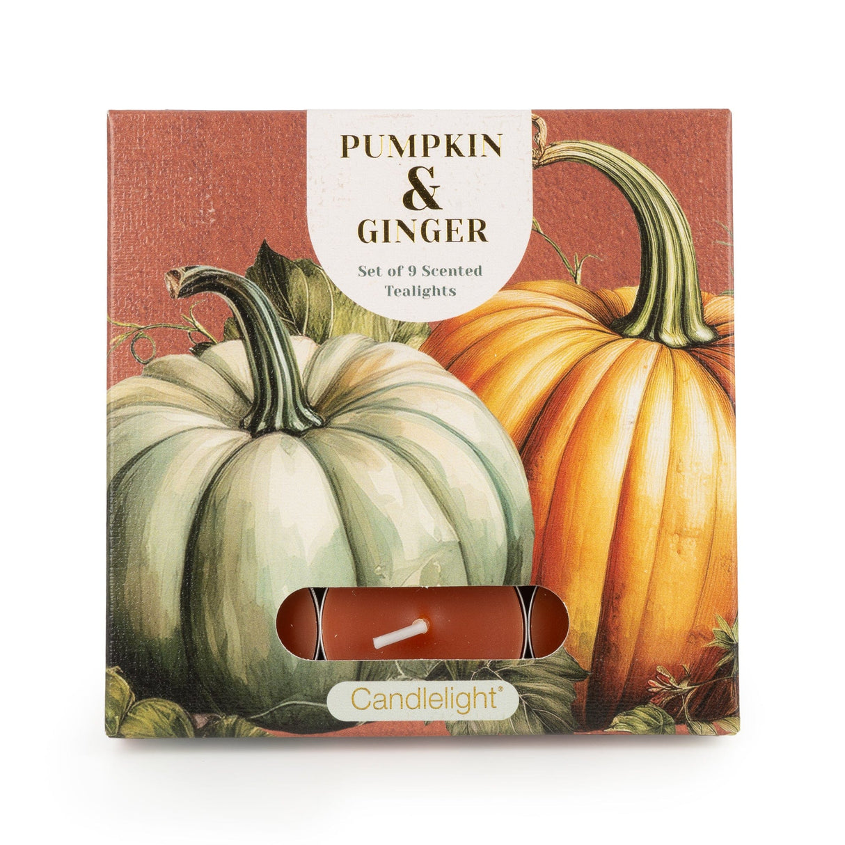 Candlelight Set of 9 Tealights pumpkin and ginger