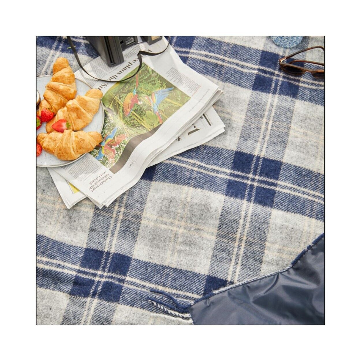 Tweedmill TM Polo Picnic Rugs LS