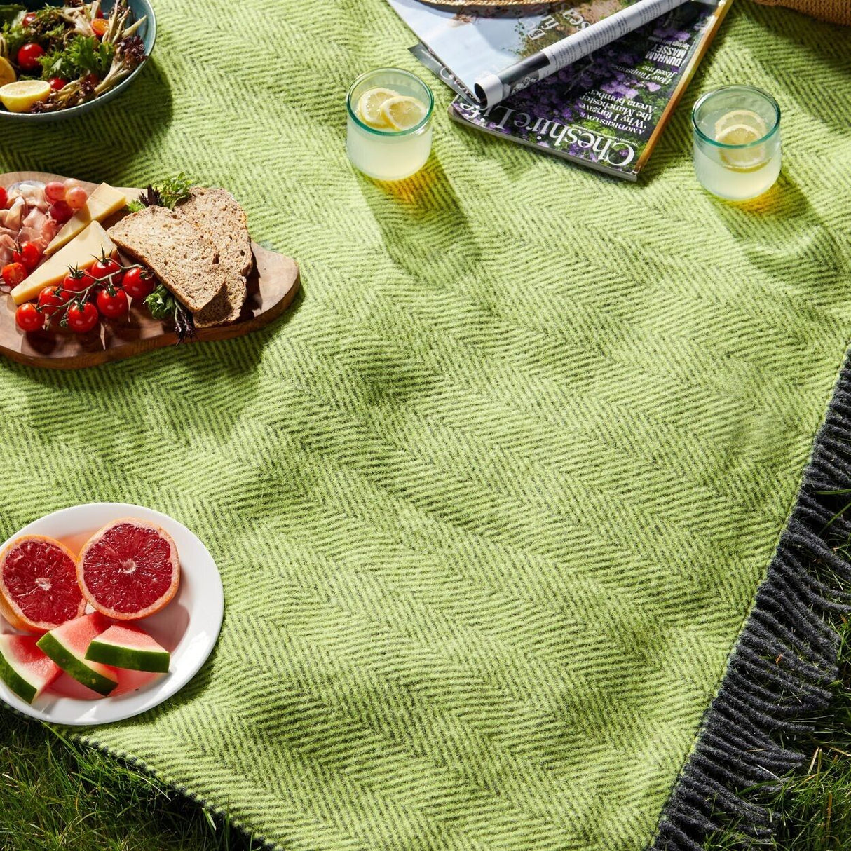 Tweedmill Polo Picnic Rugs WS