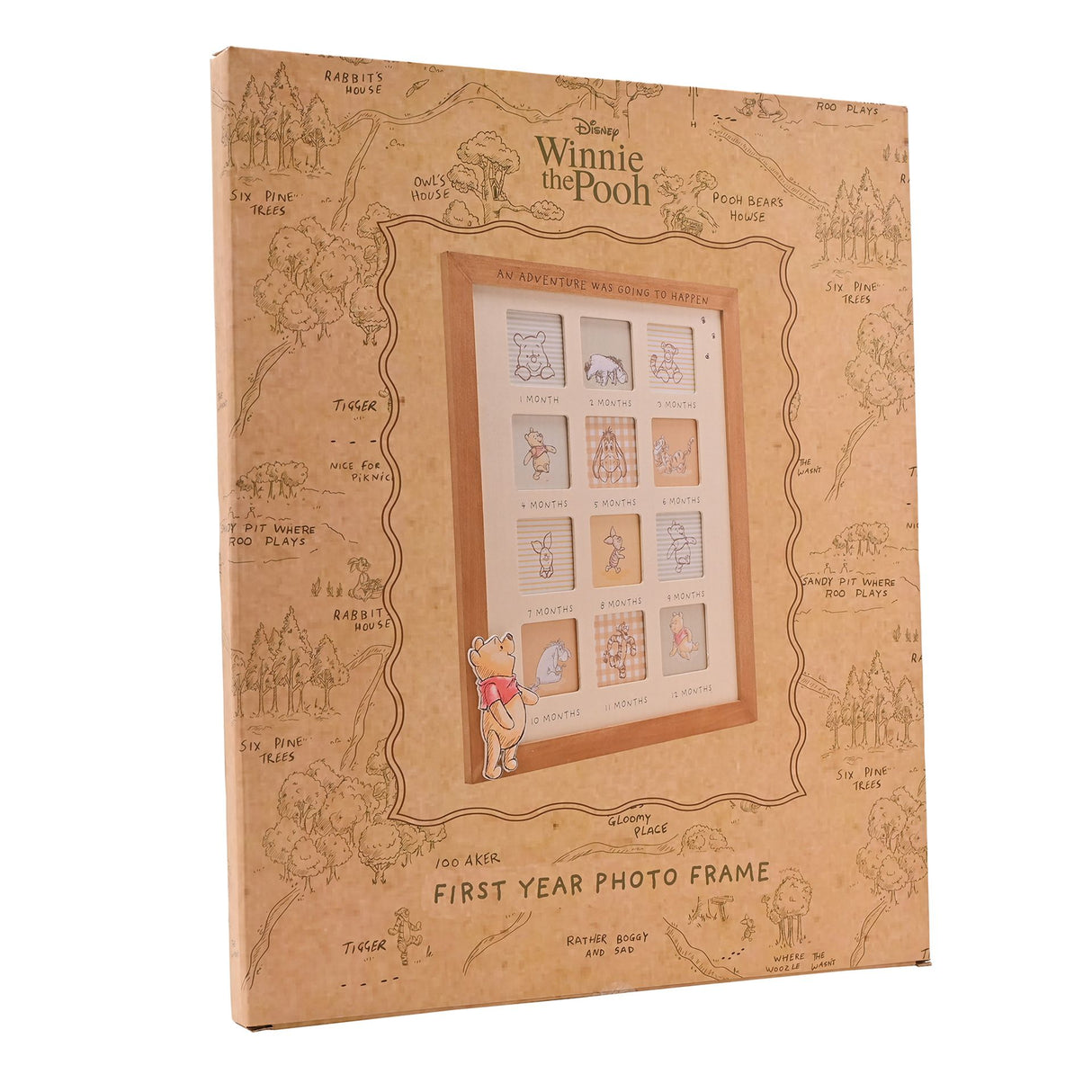 Disney Winnie the Pooh First Year Photo Frame