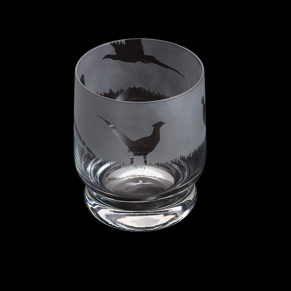 Dartington Aspect Tumbler Glass - Various Designs Sports & Hobbies