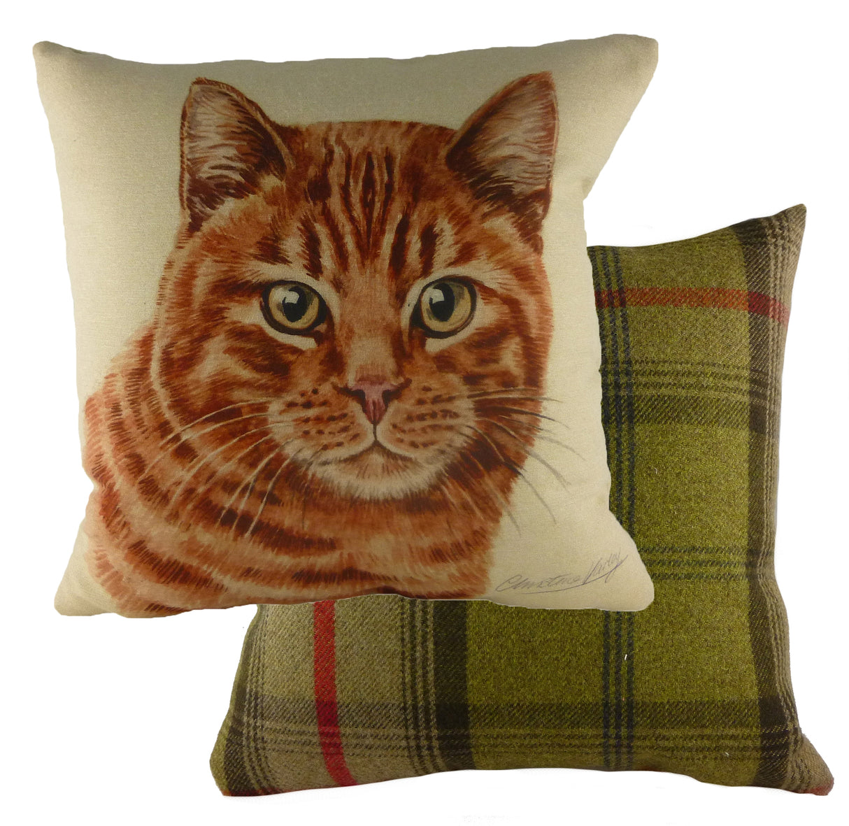 Evans Lichfield Waggydogz Cushion Cover: Ginger Cat 17" x 17"
