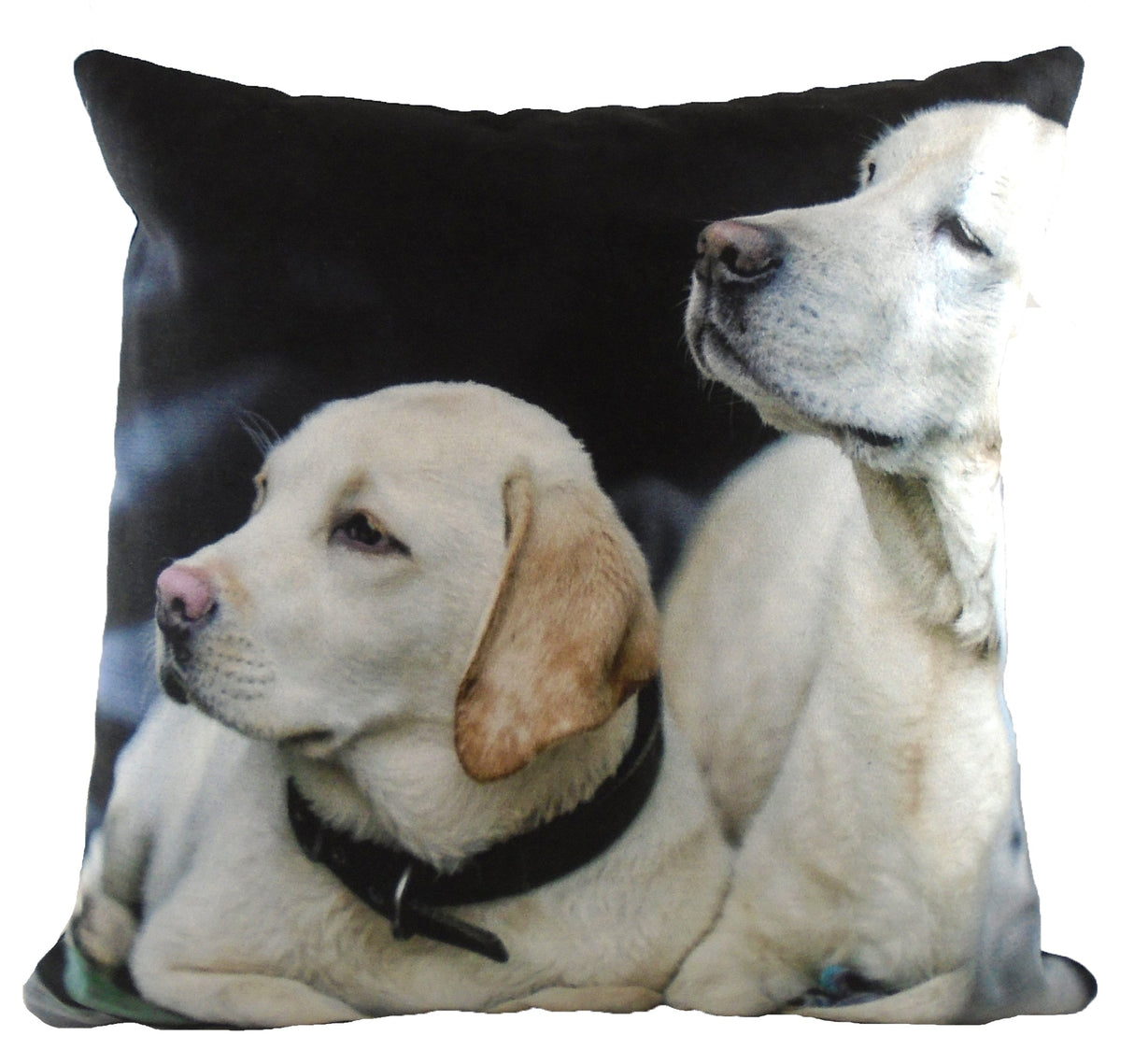 Villager Jim Collection Cushion Cover: Father & Son (Yellow Labradors)