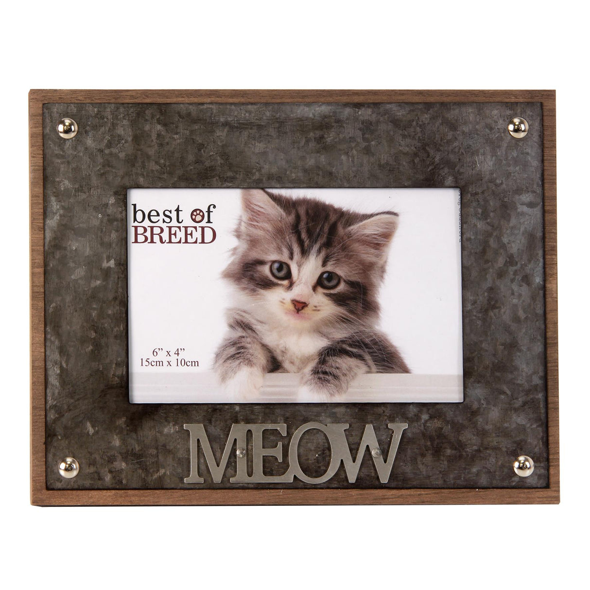 Best of Breed Photo Frame with Metal Lettering 6x4" - Cat "MEOW"