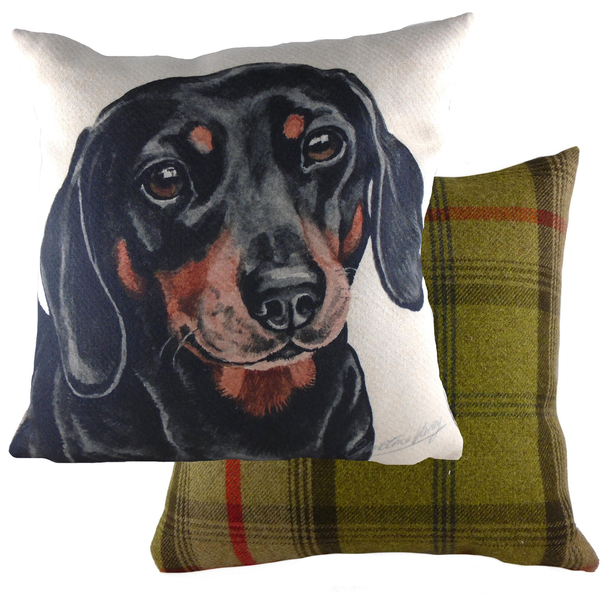Evans Lichfield Waggydogz Cushion Cover: Dachshund 17x17"