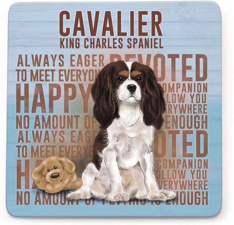 Metal Sign Mug & Coaster Boxed Gift Set - Cavalier King Charles Spaniel Dog