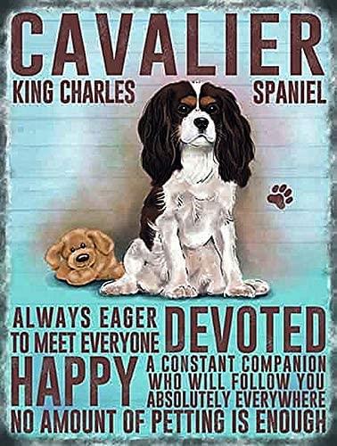 Metal Sign Mug & Coaster Boxed Gift Set - Cavalier King Charles Spaniel Dog