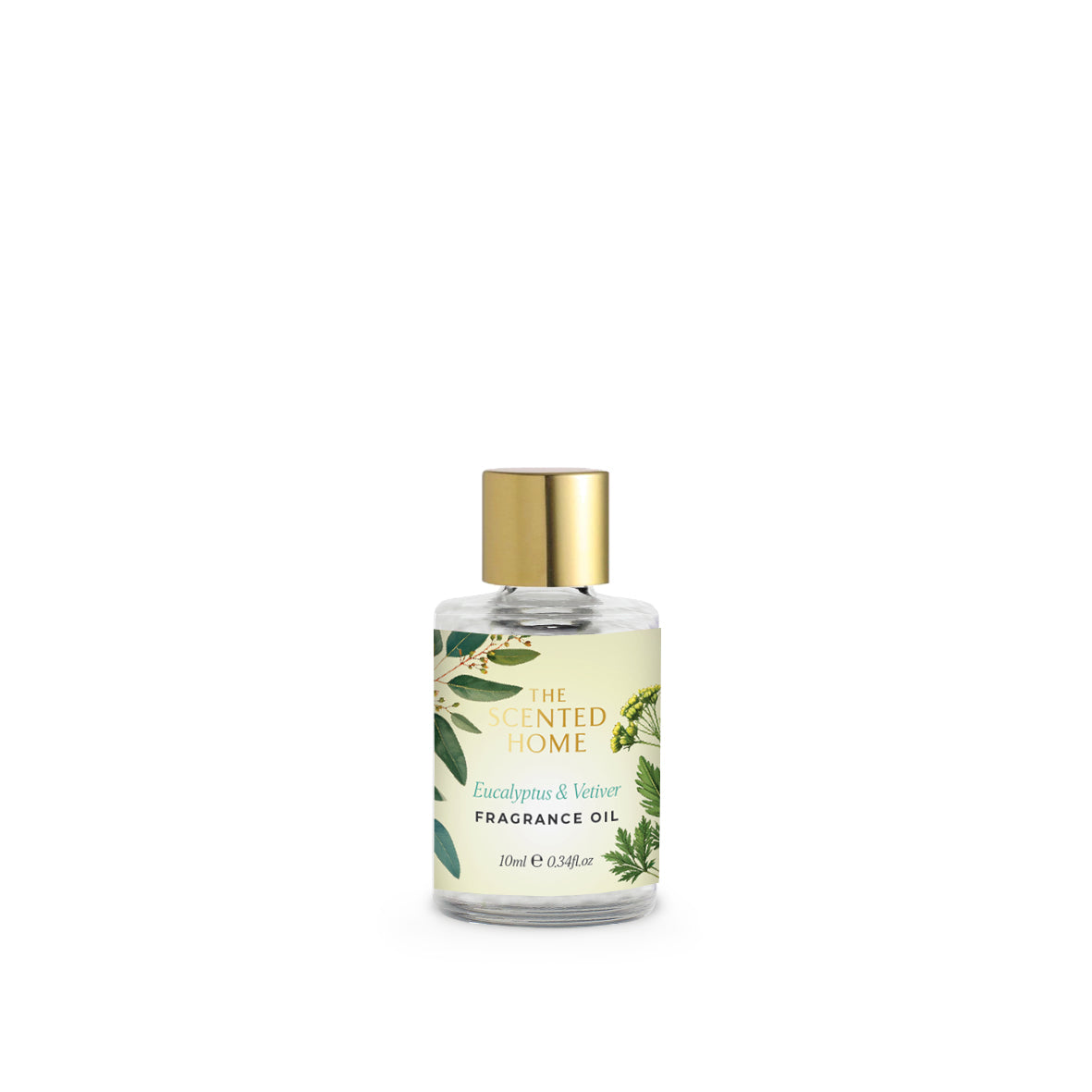 Ashleigh & Burwood New Scented Home Fragrance Oil 10ml - Eucalyptus & Vetiver