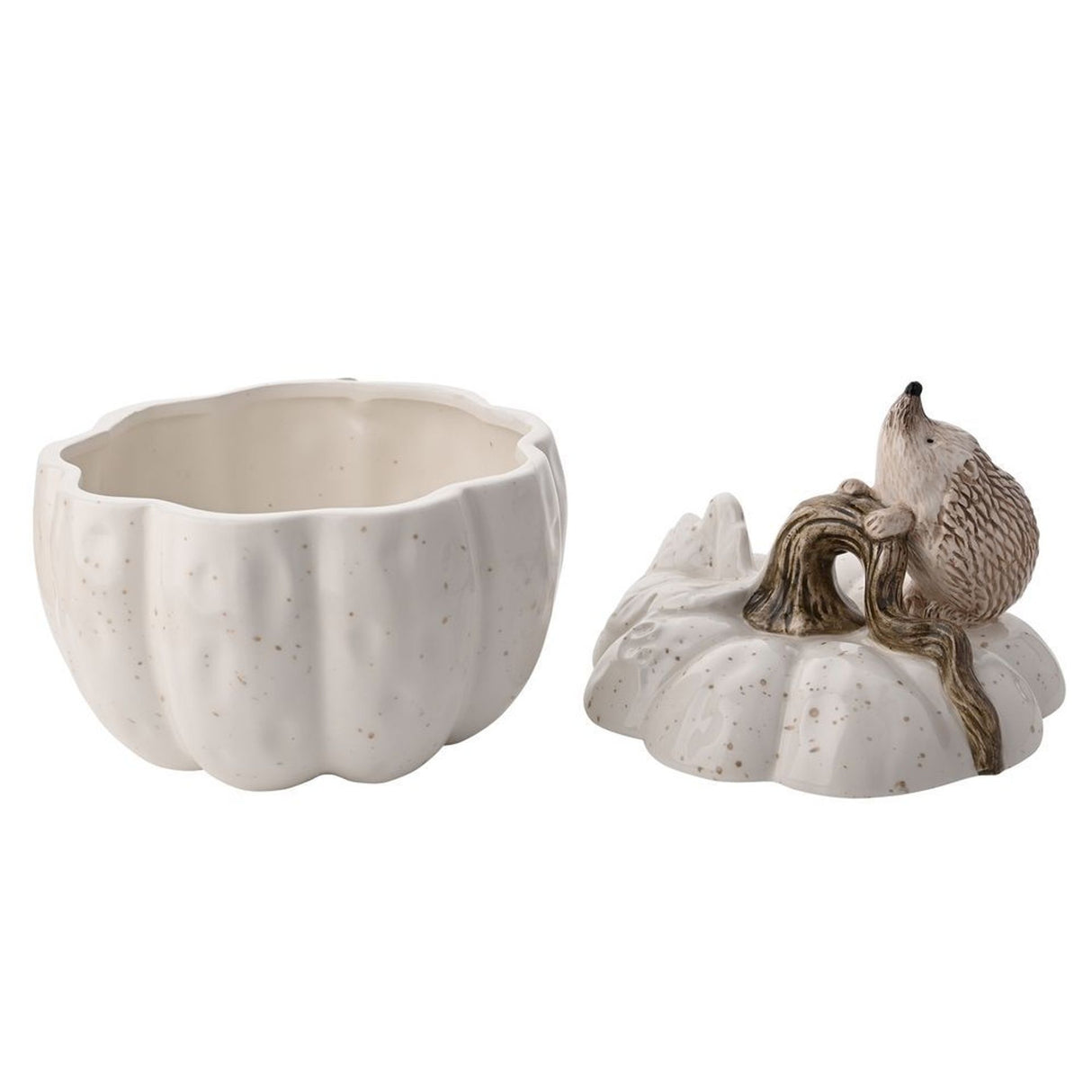 Storage Pot Hedgehog Cute Design - Autumn Decor