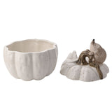 Storage Pot Hedgehog Cute Design - Autumn Decor