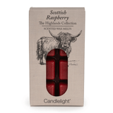 Candlelight Highland Cow 8 Pack Wax Melts - Scottish Raspberry
