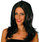 Superstar Wig Fancy Dress - Various Colours