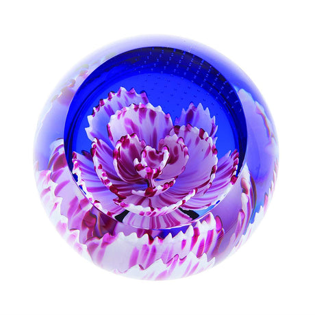 Caithness Glass Paperweight Floral Charms Collection - Various Designs