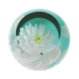 Caithness Glass Paperweight Floral Charms Collection - Various Designs