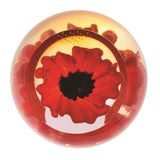 Caithness Glass Paperweight Floral Charms Collection - Various Designs