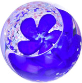 Caithness Glass Paperweight Floral Collection