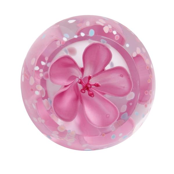 Caithness Glass Paperweight Floral Collection