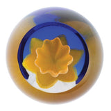 Caithness Glass Paperweight Floral Charms Collection - Various Designs