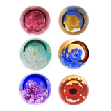 Caithness Glass Paperweight Floral Charms Collection - Various Designs