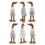 Daisy Message Duck Figurine Collection