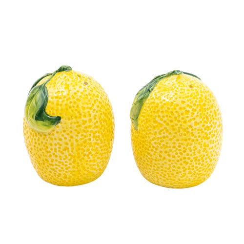 Salt and Pepper Shakers in Gift Box