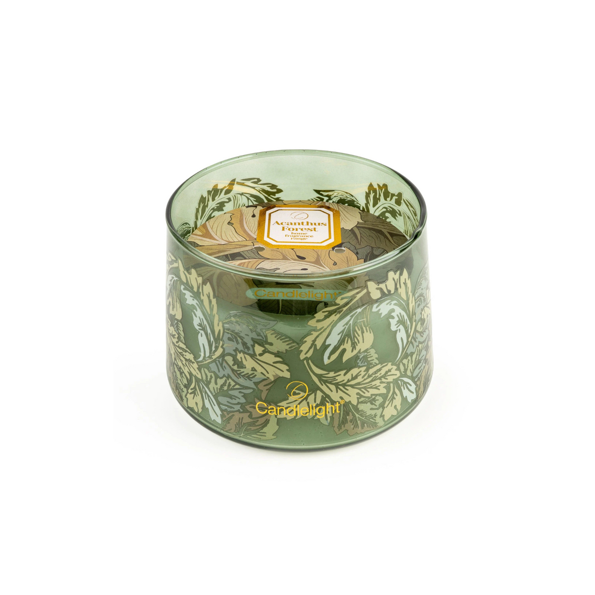 Candlelight Double Wick Jar Candles acanthus forest