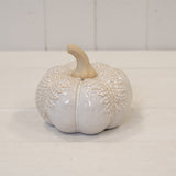 Natural Glazed Pumpkin Ornament - Large