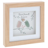 Pebble Glass Plaque - Best Friend (Birds)