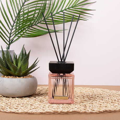 Maison Parfum Reed Diffuser 180ml - Coco