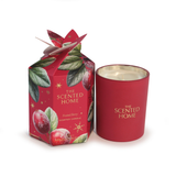Ashleigh & Burwood Christmas Scented Home Candle - Frosted Berry