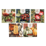 Candlelight Set of 9 Tealights Autumn Winter Collection