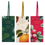 Ashleigh & Burwood New Scented Home Sachet - Various Festive Fragrances