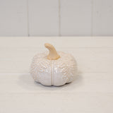 Natural Glazed Pumpkin Ornament - Medium