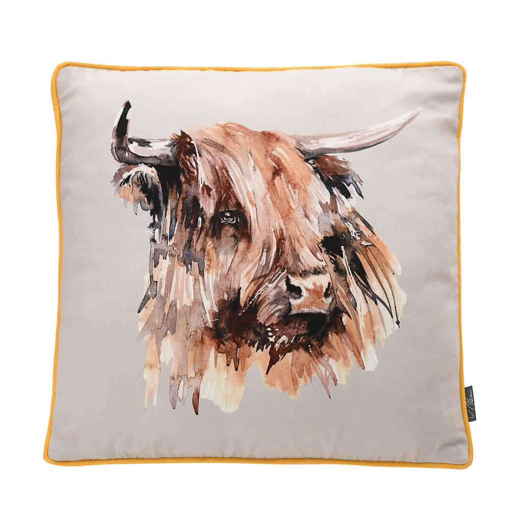 Highland Cow illustration on cushion designed by Meg Hawkins